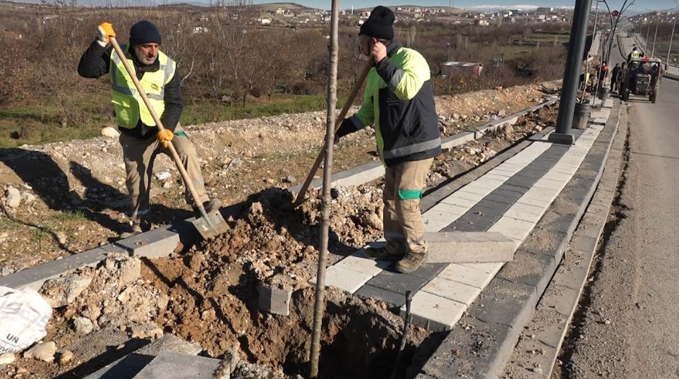 Büyükşehir Belediyesi Kuzey Kuşak Yolu’nu Yeşillendiriyor